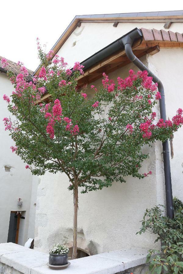 Chaumont Le Manoir住宿加早餐旅馆 外观 照片